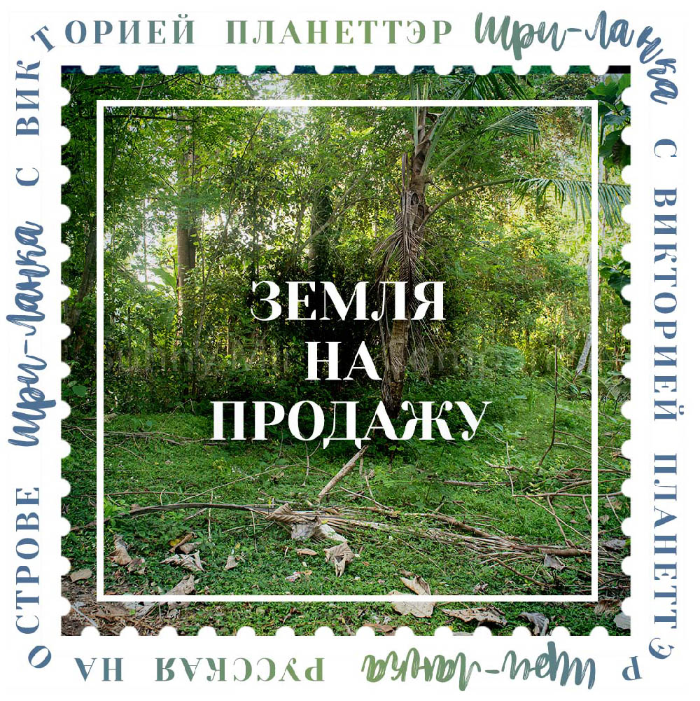 Продается земля около Мириссы