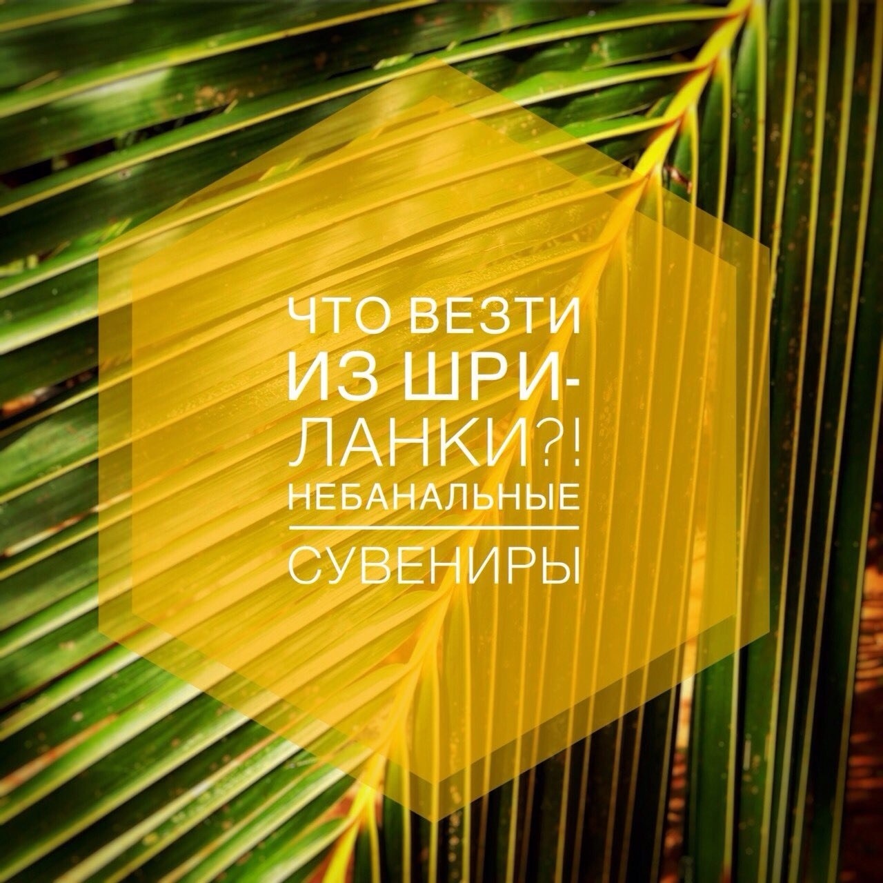 Необычные сувениры из Шри-Ланки: идеи подарков и что стоит привезти