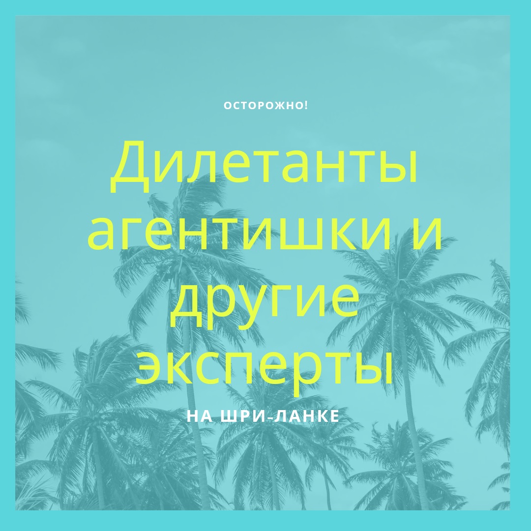 Дилетанты и мошенники в аренде жилья на Шри-Ланке
